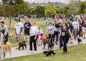 San Diego Made Spring market at Liberty Station on April 28