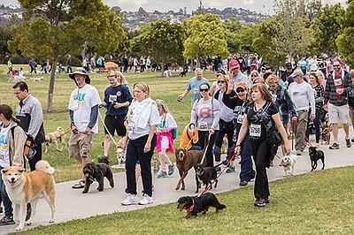 Walk for Animals at Liberty Station