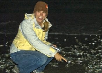 From their county to ours