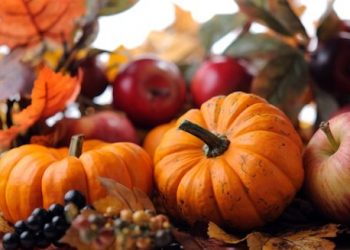 Inaugural Fall Harvest dinner to benefit beautifulPB