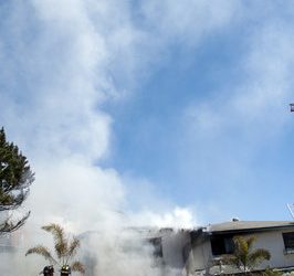 Letter to the editor: ‘Action’ is a distraction!