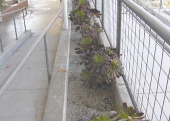 Good job for a good deed