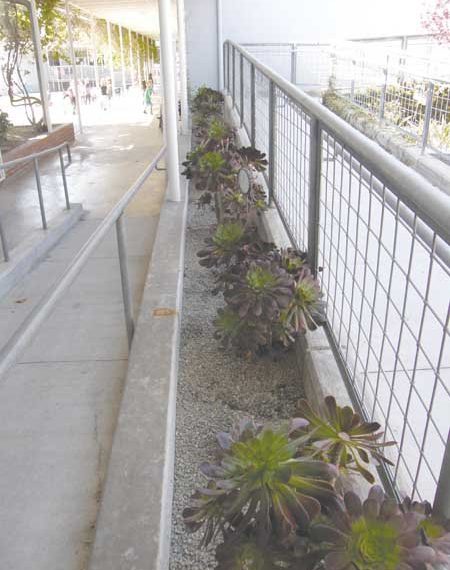 Good job for a good deed