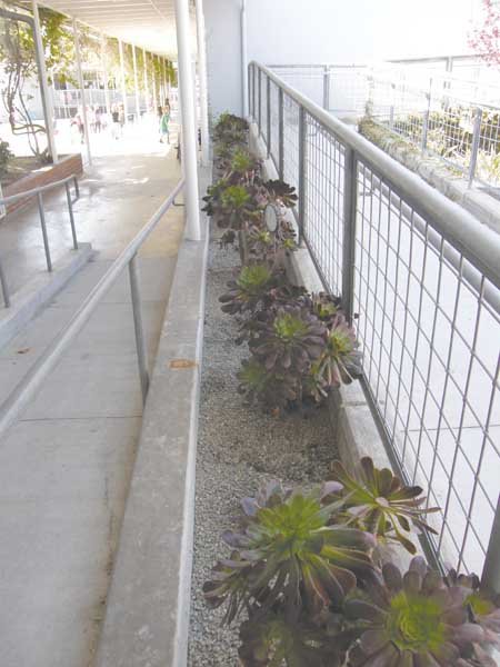 Good job for a good deed