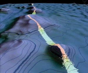 Guest commentary: What’s the real ‘anti-aging’ for your eyes?