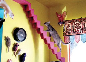 SDPD says goodbye to beloved horses of mounted unit