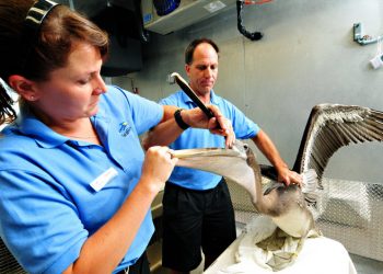 PB teachers show students how to have sum fun with new math camp