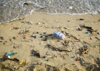 Instant Justice for naughty beachgoers helps clean up Fourth of July trash