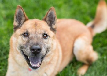 Arts Around La Plaza: La Jolla’s newly-renovated gathering, exhibition space