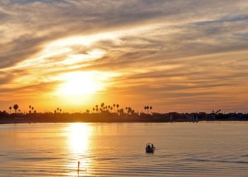 Sand, sun, and summer pet safety tips