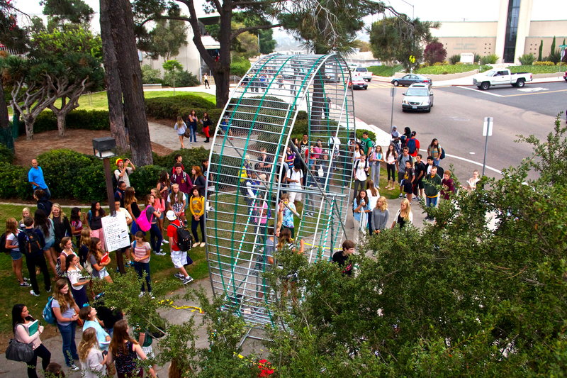 Students defuse rat race of school life with gigantic hamster wheel