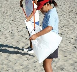 Cygnet's wonderful, wonderful 'Copenhagen'