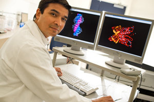 Scripps honored nationally for electronic knee research