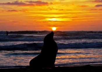 50 years of memories at Valley View Casino Center
