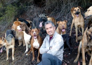 Pacific Beach events: June 23 — July 10