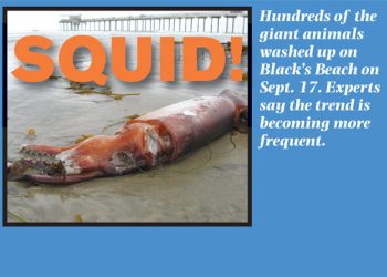 Jones’ ex-housekeeper, woman’s boyfriend plead guilty to burglary