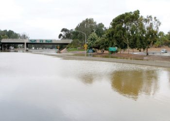 Pt. Lomans play role in ECOLIFE Foundation fund-raiser