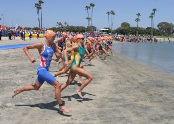 Judge rules orcas, trainers can’t interact during SeaWorld shows