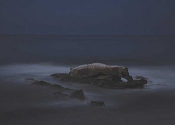 Roppongi goes to the girls