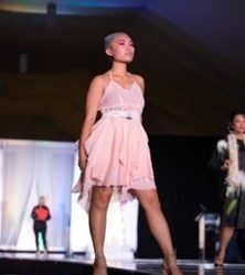 La Jolla wildlife drone photographer captures breaching humpback whale