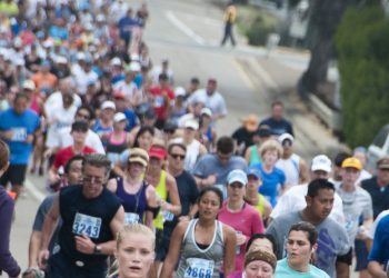 Volunteers set to scour waterways in 10th annual Creek to Bay Cleanup