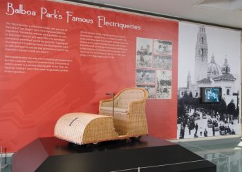 Sea lion strandings surpass 2,000 on California beaches