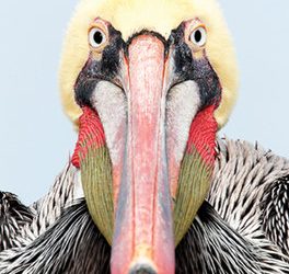 Liberty Station’s RMC helps students, teachers make beautiful music together