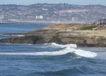 Bail set at $550,000 in activist's death by vehicle