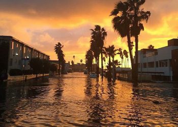 El Nino has arrived with a vengeace; here's how you can help