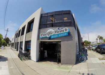 Sand, sun, and summer pet safety tips