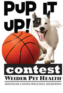 PUP IT UP! The First Annual Dog-Human Fitness Video Contest from Weider Pet Health