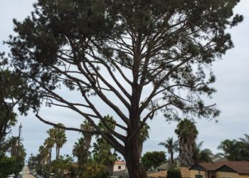 ‘Quality of life and safety’ concerns for Pacific Beach residents