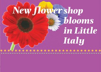 A belly full of stress