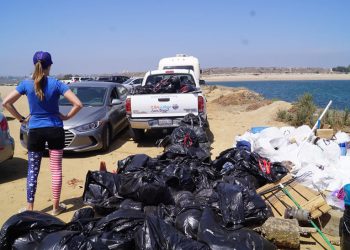 Downtown Briefs: July 2018