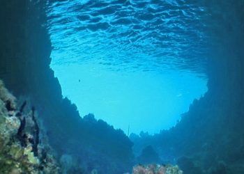 Get involved: Creek to Bay Cleanup to draw 6,000-plus volunteers April 26