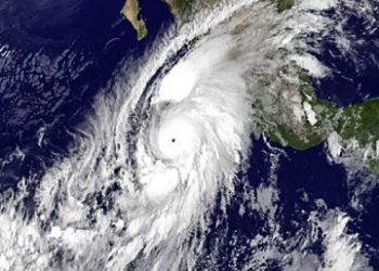 ‘Alonzos’ share in Downtown’s success