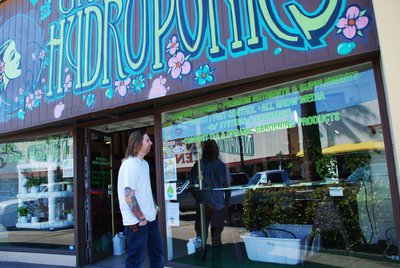 Cameras lead to arrest in window vandalisms