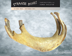 Masters of photo montage