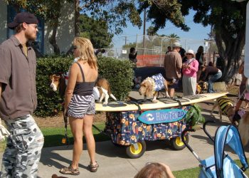 Beacon journalists win multiple press honors