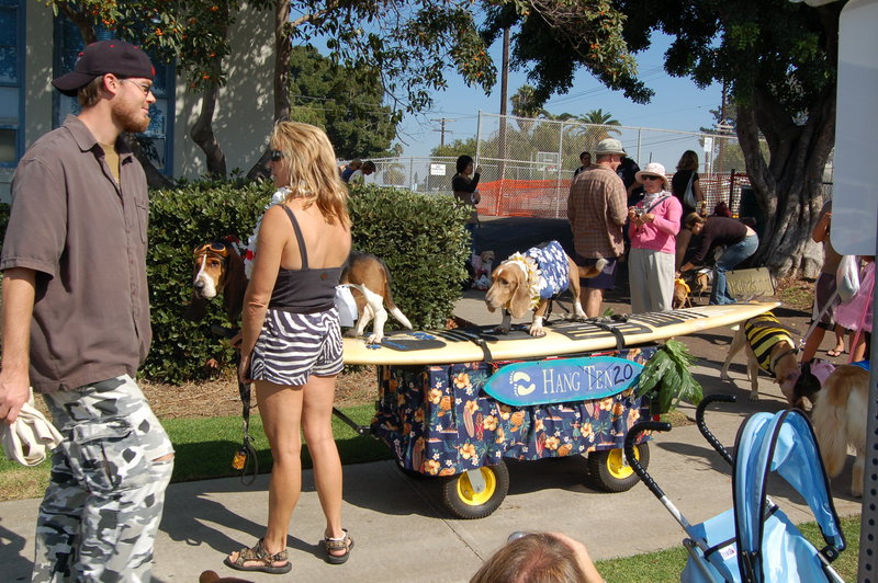 ‘Howl-O-Ween’ Canine Carnival something to bark about in OB