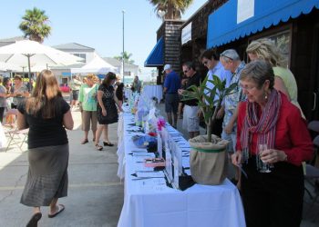 City struggles to uproot illegal pot shops in PB