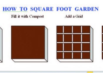 Reflections on the past: an artist’s perspective