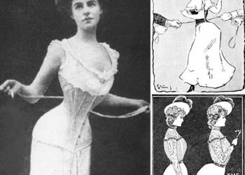 James Gang moves back to where it all started on Newport