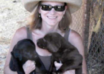 The Stoning of Soroya M Sinks Like a Stone