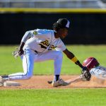 Mission Bay, baseball