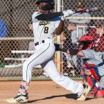 Mission Bay, baseball