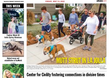 thumbnail of La-Jolla-Village-News-Archive-2022-05-13