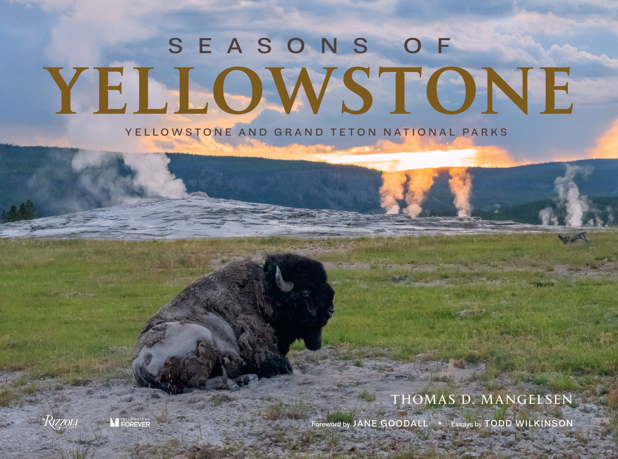Wildlife photographer Tom Mangelsen releasing new book | SDNews.com