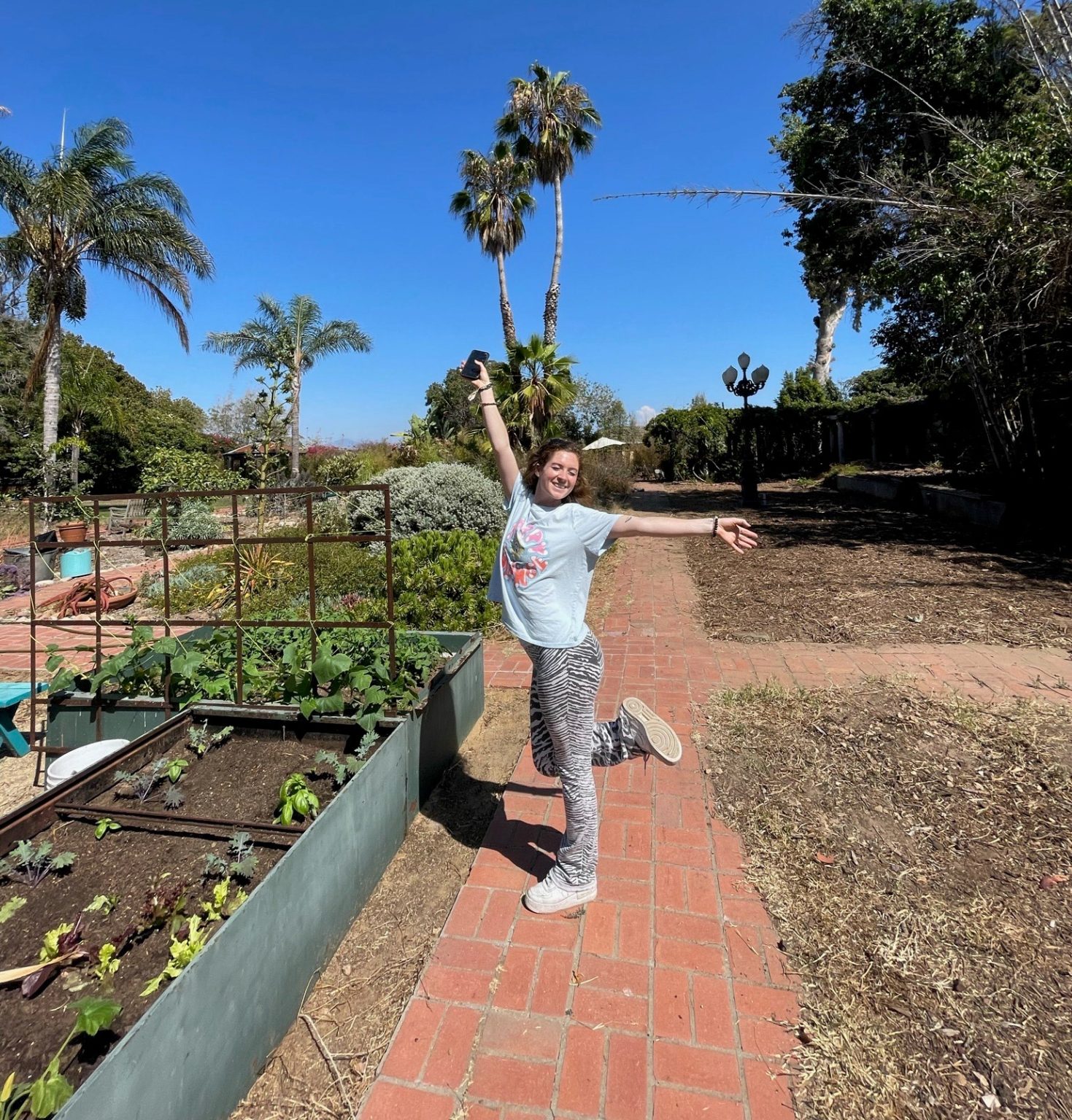 Coastal Sage reviving Sefton Gardens, and Botany for Kids program