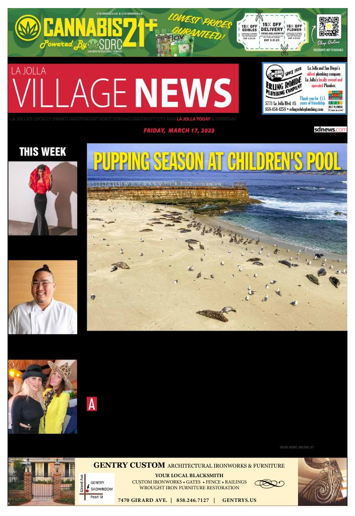 thumbnail of La-Jolla-Village-News-Archive-2023-03-17
